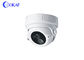 Volle HD-Fahrzeug-Überwachungskamera 1080P CCTV-Sicherheit Innen-IR-Minihauben-Form