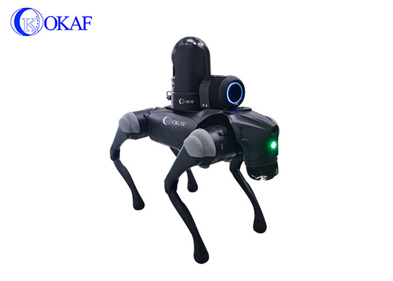 Intelligenz HD KI Sicherheitskamera Vierköpfiger Roboter Hund