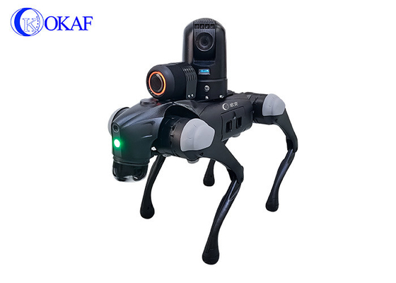 Intelligenz HD KI Sicherheitskamera Vierköpfiger Roboter Hund
